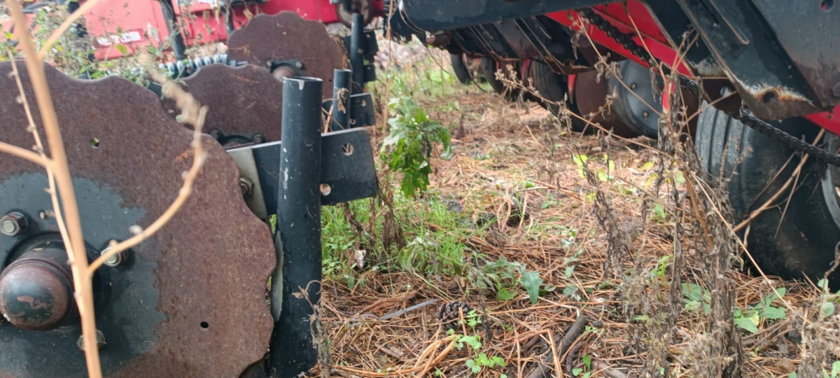 Сеялка Massey Ferguson 555 TSB
